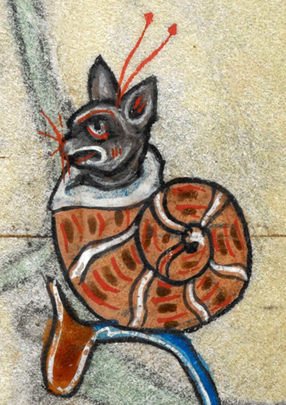 Medieval snail-cat